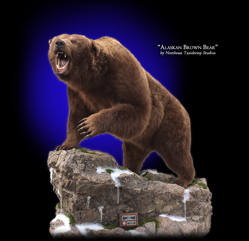 grizzly bear mounts